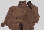  2019 anthro anus balls belly blush brown_fur butt fur humanoid_hands male mammal moobs navel nipples oak oaks16 orchish_(pixiv) overweight overweight_male penis simple_background solo ursine 