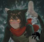  >:( 1girl alt_text animal_ears armor black_fur black_hair body_fur bow cat cat_ears cat_girl cat_tail closed_mouth commentary_request dungeon_meshi ears_down fringe_trim glaring highres izutsumi leather_armor looking_ahead mismatched_animal_ear_colors red_scarf sasakura34 scarf scarf_bow short_hair slit_pupils solo tail upper_body v-shaped_eyebrows yellow_eyes 