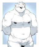  anthro bear biceps blush bulge clothing fur kokuhane male mammal muscles nipples pecs polar_bear solo underwear white_fur 