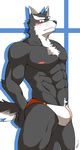  abs anthro black_fur black_nose blush brown_eyes canine chest_tuft clothed clothing finnish_flag fur half-dressed hunk male mammal multicolored_fur muscles navel nipples pecs pink_nipples pubes solo speedo swimsuit topless tuft two_tone_fur unknown_artist whiskers white_fur wolf 