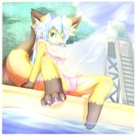  bipedal canine clothing female fox hazukikai mammal pool pussy solo spread_legs spreading swimsuit water 