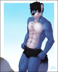  2015 abs anthro biceps black_hair black_nose blue_fur boxers bulge chest_tuft clothed clothing feralise fur grin hair half-dressed looking_at_viewer male mammal muscles pecs pose raccoon smile solo standing toned topless tuft underwear white_fur yellow_eyes 