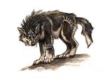  2015 black_fur blue_eyes canine chain claws feral fur kenket link_(wolf_form) male mammal markings sketch solo the_legend_of_zelda traditional_media_(artwork) video_games watercolor_(artwork) white_fur wolf 