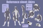  2020 2020ad advertisement akira balls canine cute hindpaw kayaczek male mammal model_sheet neckerchief paws plantigrade scar sheath solo wolf 