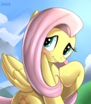  2012 cute equine female feral fluttershy_(mlp) friendship_is_magic mammal my_little_pony pegasus skyline19 solo wings 