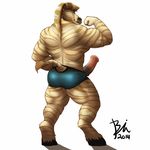 2014 animal_genitalia biceps big_muscles bin_(artist) clothed clothing equine erection flexing half-dressed horsecock looking_at_viewer looking_back male mammal muscles penis solo standing topless zebra 