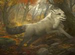  ambiguous_gender autumn canine feral forest fox fur howard_lyon magic_the_gathering mammal nature official_art outside running solo tree white_fur 