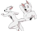  &lt;3 2015 action_pose anthro anthrofied bolt bolt_(film) butt canine chest_tuft collar cute disney dog fur german_shepherd looking_at_viewer male mammal nude open_mouth plain_background running solo superhero surprise tattoo tuft white_background white_fur white_shepherd willowwhiskers 