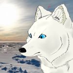  2013 ambiguous_gender anthro arctic arcticdunx canine cloud dunx feral fox mammal outside photo_background sky solo 