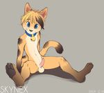  anthro balls blue_eyes cat collar cub erection feline male mammal pawpads paws penis shiuk small_penis solo young 