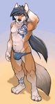  abs alty anthro arm_behind_head biceps bulge canine claws clothed clothing flexing fox fur hair half-dressed looking_at_viewer male mammal muscles no_swift pecs solo speedo standing swimsuit tattoo toe_claws toned topless 