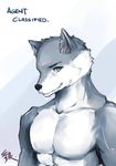  abs agent_classified anthro anthrofied arctic_wolf blue_eyes canine character_from_animated_feature_film clothed clothing dreamworks half-dressed madagascar male mammal muscles pecs solo the_penguins_of_madagascar topless wolf 
