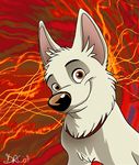  &lt;3 abstract_background bolt bolt_(film) brown_eyes canine collar cute disney dog feral fur german_shepherd looking_at_viewer male mammal silverdeni smile solo white_fur white_shepherd 