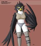  2010 anthro audie-gryph avian black_feathers blue_eyes breasts female knife simple_background solo white_feathers 