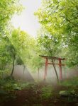  commentary_request day foliage forest grey_sky highres nature no_humans nor_ni original outdoors scenery sky torii tree 