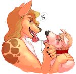  anthro blush canine collar couple duo female fur hair hyena interspecies jinash larger_female male mammal open_mouth plain_background saliva size_difference smaller_male smile straight text tongue tongue_out white_background 
