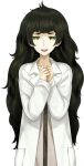  1girl blunt_bangs brown_jacket collar collarbone fingernails flat_chest forced_smile game_cg green_collar green_eyes green_hair green_trim hiyajou_maho huke jacket jacket_over_dress lab_coat large_variant_set long_hair looking_at_viewer messy_hair narrowed_eyes nervous_sweating non-web_source official_art open_mouth own_hands_together science_adventure smile solo sprite steins;gate steins;gate_0 sweat transparent_background variant_set very_long_hair 