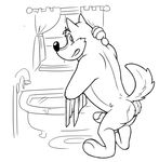  anthro bath butt canine erection looking_at_viewer male mammal nude penis towel water wolf wuffle 