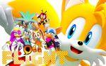  anthro bat canine charmy_bee cream_the_rabbit female fox group hedgehog male mammal miles_prower rouge_the_bat sega silver_the_hedgehog sonic_(series) sonic_riders wave_the_swallow 