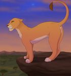  blush daughter disney embarrassed father feline female feral heat jazzlioness kiara lion mammal outside parent presenting pussy raised_tail solo story_in_description the_lion_king wet 