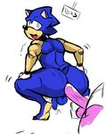  amy_rose anal anal_penetration balls dickgirl intersex male male_on_dickgirl penetration penis precum r-r-r rokiloki sega sonic_(series) sonic_the_hedgehog 