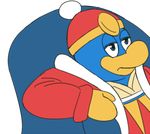  avian bird blue_eyes gloves hat king_dedede kirby_(series) male nintendo penguin solo video_games 