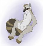  anthro anus cuntboy intersex kwik looking_at_viewer mammal piercing pussy raccoon solo spread_legs spreading 