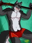  2014 anthro biceps black_powder_gun boxer_briefs bulge canine chest_tuft clothed clothing fur gun half-dressed male mammal muscles pecs percussion_cap pose ranged_weapon shade_the_wolf smile solo toned topless tuft underwear weapon wolf 