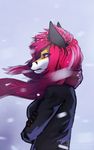  anthro black_nose canine claws clothed clothing crossed_arms female fox hair mammal outside pink_eyes pink_hair snow solo standing vyriss vyrissthevixen winter 