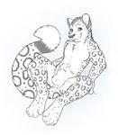  2014 anus balls blue_eyes feline kwik leopard looking_at_viewer male mammal nude sheath snow_leopard solo spread_legs spreading 