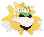  anthro archie_comics blue_eyes blush breasts canine chest_tuft chinchilla clothing couple cute digital_media_(artwork) duo fox fur love_handles male mammal miles_prower multiple_tails open_mouth overweight plain_background rodent sega sonic_(series) squishy sssonic2 sweat thunderbolt_the_chinchilla tuft underwear white_background yellow_fur 