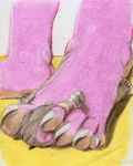  5_toes ambiguous_gender boca foot_focus hindpaw hippopotamus macro mammal micro paws solo toe_ring toes 