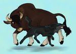  2014 black_fur black_hair blue_background blue_eyes bovine brown_eyes brown_skin canine cattle claws dogsoul duo feral fur glowing hair hooves horn male mammal markings nibbling plain_background shaded side_view wolf 