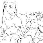  2014 abs ambiguous_gender anthro balls bighorn_sheep black_and_white caprine duo erection feline female feral lion male mammal masculine monochrome negger nipples penis ram sheep straight 