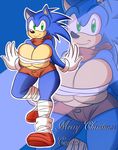 2014 anthro big_breasts blue_hair blush breasts cleavage clothed clothing crossgender female green_eyes hair hedgehog huge_breasts looking_at_viewer mammal sega smile solo sonic_(series) sonic_the_hedgehog supersonicrulaa 