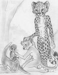  2014 ambiguous_gender anthro breasts cheetah cub feline female feral group lion male mammal masculine mustelid otter outside penis penis_tip sheath side_boob sketch spera young 