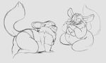  anthro chinchilla chubby duo female fur gillpanda mammal presenting rodent sega solo_focus sonic_(series) thunderbolt_the_chinchilla tuft 