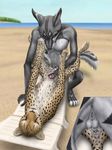  anal anthro anus barbs bestiality breasts breeding canine cheepard cheetah cum cutaway duo erection feline feral herm intersex interspecies jex male mammal penetration penis pussy shakkokit sheath 
