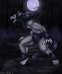  2014 anthro canine dark eliana-asato forest fur grey_fur hair long_hair male mammal moon night open_mouth outside solo standing star starry_sky tree wolf 