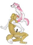  anthro canine dingo dog duo fellatio fox gay husky knot leggothebooty male mammal oral penis sex sucking 