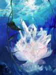  blue_hair crystal flower legs lotus lotus_pedestal niko_(silent.whitesnow) on_flower original plant short_hair solo underwater 