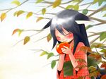  animal_ears black_hair blush copyright_request food fruit grin persimmon smile solo yusorate 