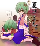  bottle detached_sleeves eyes frog green_eyes green_hair hair_ornament hat hot kazami_yuuka kochiya_sanae long_hair multiple_girls red_eyes shaded_face short_hair snake sweat tori_rui touhou towel vest 