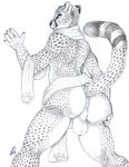  2014 animal_genitalia anthro anus balls bottomless butt cheetah claws clothed clothing feline gravewalker half-dressed inviting looking_back male mammal perineum presenting presenting_hindquarters raised_tail rear_view scarf smile solo spots teasing whiskers 