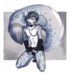  2014 anthro big_tail bow clothed clothing collar crossdressing feline fluffy_tail half-dressed lace leopard lingerie looking_at_viewer male mammal novus panties pinup plain_background pose smile snow_leopard solo tazara topless underwear 