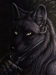  2014 ambiguous_gender anthro black_fur bust_portrait canine close-up dagger ear_piercing fur looking_at_viewer mammal piercing portrait rukis scar shaded solo weapon wolf yellow_eyes 