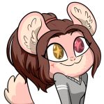  :3 anthro brown_hair chinchilla cinnamon_(sinamuna) clothing female hair heterochromia invalid_tag long_hair mammal ponytail rodent smile solo starrtoon starry_eyes sweater tattoo 