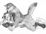  2014 anal anal_penetration animal_genitalia anthro canine canine_penis duo eyes_closed fox from_behind gay knot lying male mammal nude on_front penetration penis raised_tail sabretoothed_ermine sex sketch tongue tongue_out wolf 