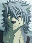  anthro canine dog fur grey_fur grey_hair hair husky ig kouya_aotsuki looking_at_viewer male mammal masculine morenatsu portrait pose restricted_palette solo yellow_eyes 