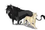  alucard black_hair blonde_hair blue_eyes feline feral hair hellsing integra lion male mammal mane red_eyes silverkitsu size_difference 